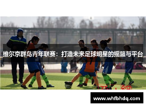 维尔京群岛青年联赛:打造未来足球明星的摇篮与平台 维尔京群岛青年联赛:打造未来足球明星的摇篮与平台