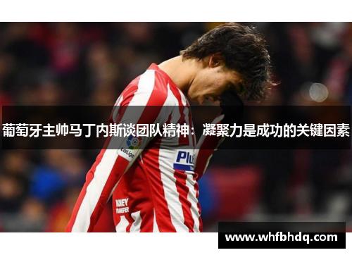 葡萄牙主帅马丁内斯谈团队精神:凝聚力是成功的关键因素 葡萄牙主帅马丁内斯谈团队精神:凝聚力是成功的关键因素